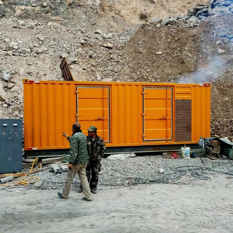彭场镇如何选择适合自己的 800KW 柴油发电机组？